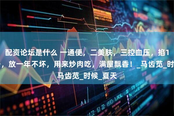 配资论坛是什么 一通便，二美肤，三控血压，掐10斤晒干，放一年不坏，用来炒肉吃，满屋飘香！_马齿苋_时候_夏天